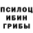 Псилоцибиновые грибы прущие грибы Nonof Yourbiz