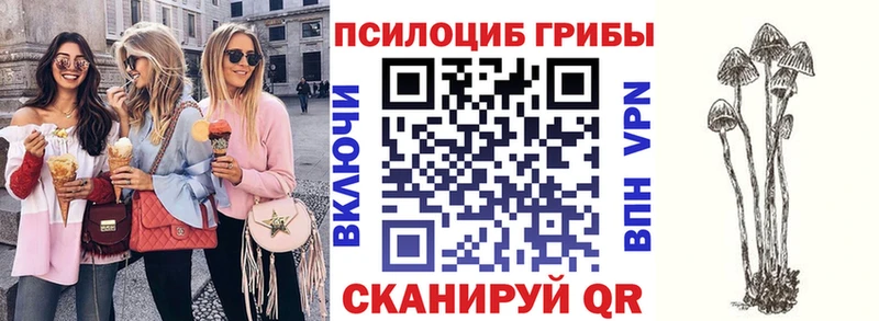 Псилоцибиновые грибы Magic Shrooms  дарнет шоп  Феодосия 